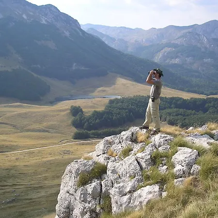 Gostinjska kuća Etno Lalovic 4*