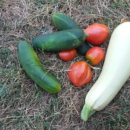 Etno Lalovic 4* Tjentiste