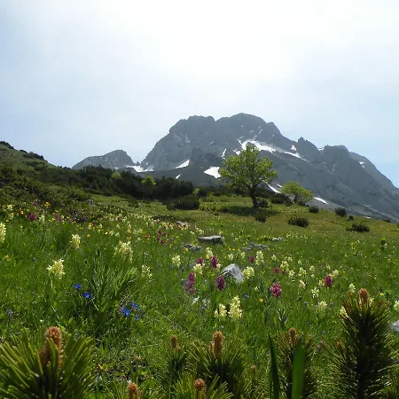 Gostinjska kuća Etno Lalovic 4*