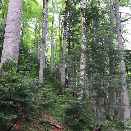 Gostinjska kuća Etno Lalovic