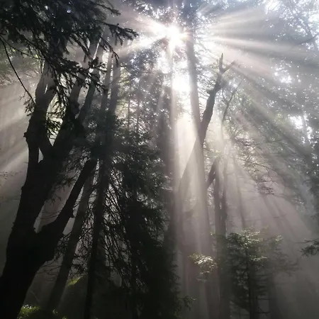 Etno Lalovic Gostinjska kuća 4*