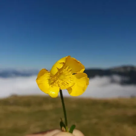 Gostinjska kuća Etno Lalovic Tjentiste